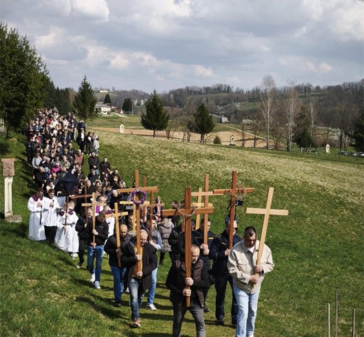 Održan 20. hodočasnički križni put u župi Novigrad na Dobri